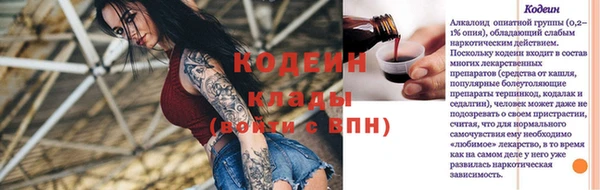 дживик Бронницы