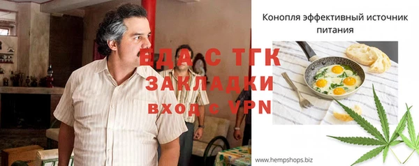 гидра Бородино