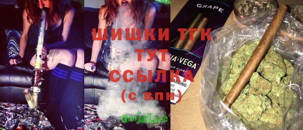 гидра Бородино