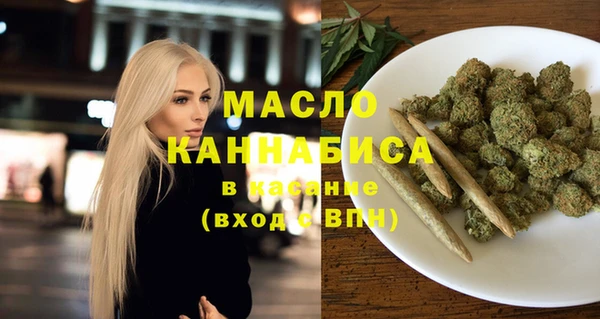 гидра Бородино