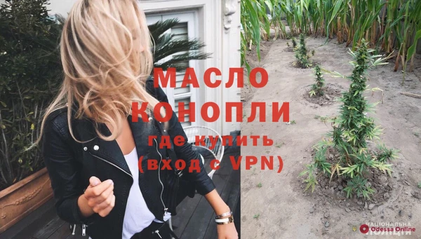 дживик Бронницы