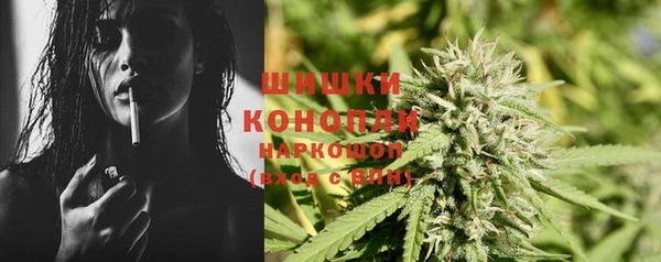 дживик Бронницы
