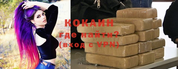 гидра Бородино