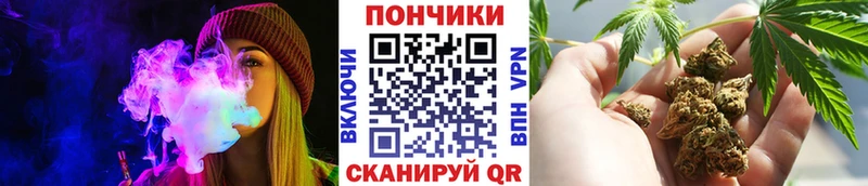 Каннабис индика Ковдор